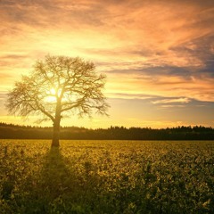 Well for Alto Saxophone and Piano