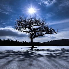 MusicalProf's Tracks