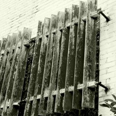 Starlet (The Green Kingdom Remix)