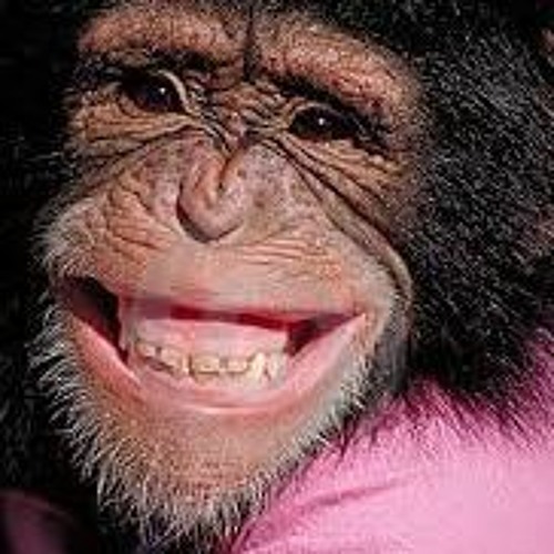 BUMP MY GUMS