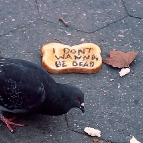 i dont wanna be dead