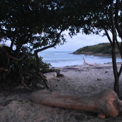 We're Falling Asleep to the Same Song (demo)