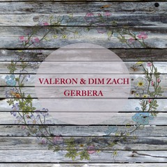 Valeron & Dim Zach - Gerbera