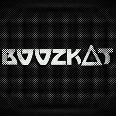 BooZKaT - Bamboozled