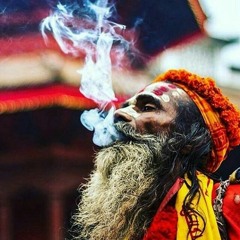 Shambo Shivaholic Mix