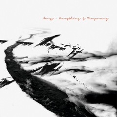 Amoss 'Everything is Temporary' LP - Dispatch Recordings - OUT NOW