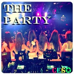 THE PARTY (RMK original mix)SMR-🅿😊【CES✪】