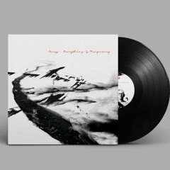 Amoss 'Everything is Temporary' LP [VINYL] - Dispatch Recordings - OUT NOW