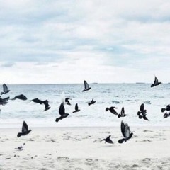 مَّثَلُ الْجَنَّةِ الَّتِي وُعِدَ الْمُتَّقُونَ | رعد الكردي