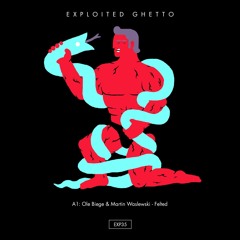 Ole Biege & Martin Waslewski - Felted | Exploited Ghetto
