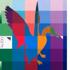 KUBA - The labrynth of colours