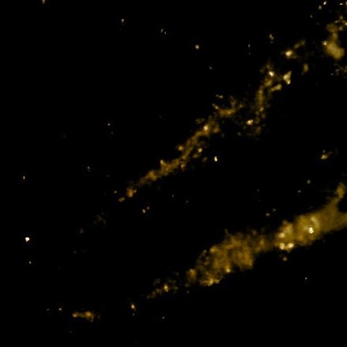 Frequencies Management - Diamond