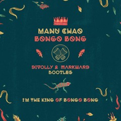 Bootlegs/Remixes