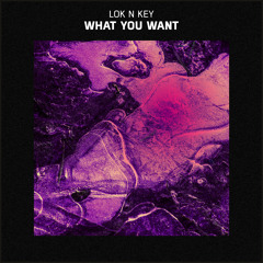 Lok N Key - What You Want