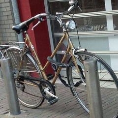 Gazelle Bike