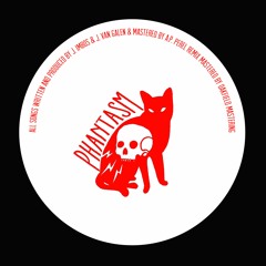 Pin Up Club - Naoshima (Sinchi Remix) Bonus Digital Track  [Snippet]