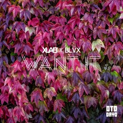 XLAB x BLVX - Want It