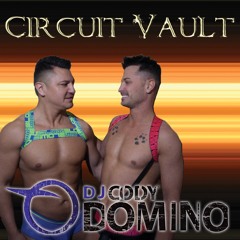 Circuit Vault