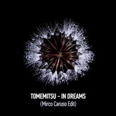 FREE DOWNLOAD: Tomemitsu - In Dreams (Mirco Caruso Edit)