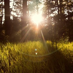 Think City - Universal Rhythms 06