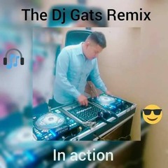 EN LOS DOMINIOS DEL MIX REGETON EXTENDER DJ GATS RMX
