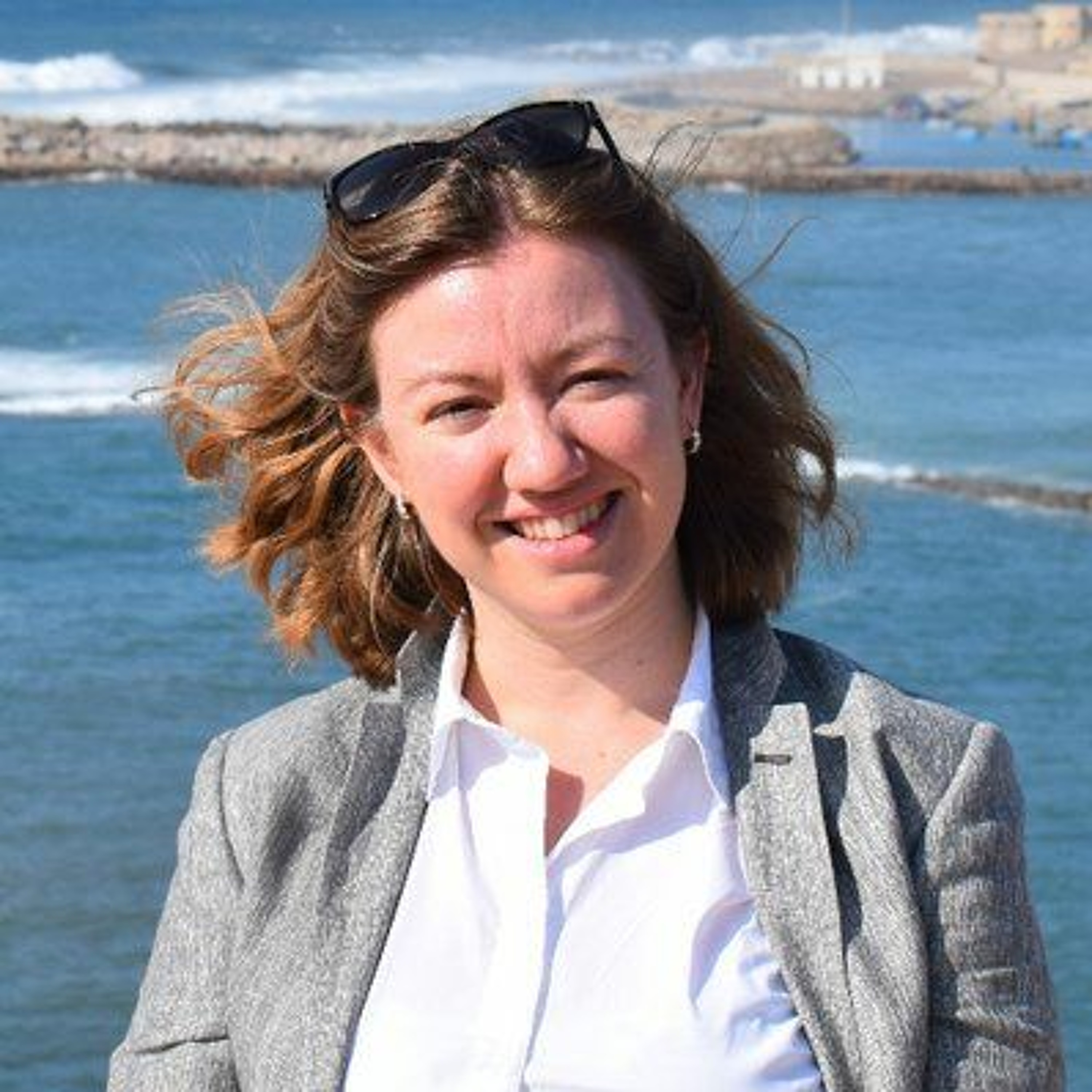 POMEPS Middle East Political Science Podcast