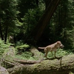 sick of being sensitive