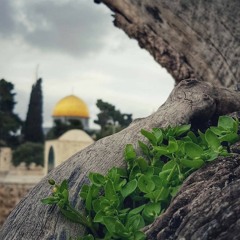 أذآن 💚