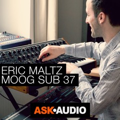 Synth Stories 16 - Eric Maltz - Moog Sub 37