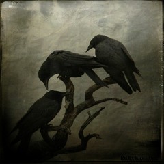 The Three Ravens