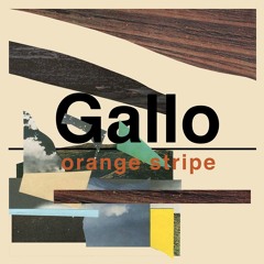 Gallo - Orange Stripe