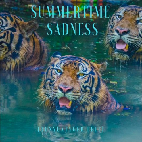 Lana Del Rey  -  Summertime Saddness (Tony luvs u Edit)