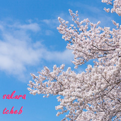 sakura