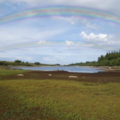 Another Rainbow