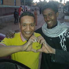 محمد فوزى النوبى أليامنى