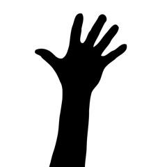 KINISOU NGONUK AI KOT