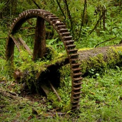 Overgrown
