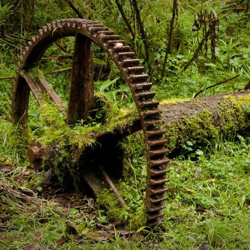 Overgrown