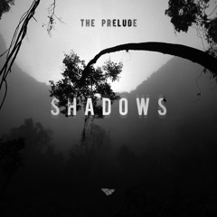 Rainy Wednesday (119.00) (Amaj.)