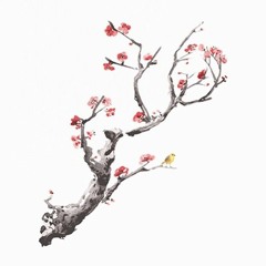 nujabes (ryo edit)