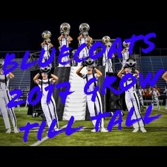 Bluecoats Grow Till Tall