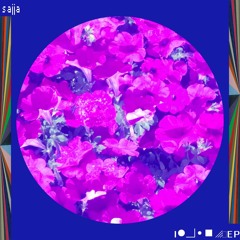 neo laputa