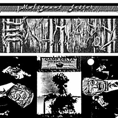 Enimapod - Malignant Jester Version II [Industrial EBM/Circus March/Glitch] - 100 - 200 BPM Variable