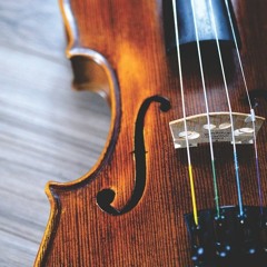 Chopin Etude Op.10 No.4 (String quintet arrange)