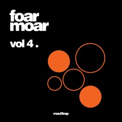 Groundwork [mau5trap]