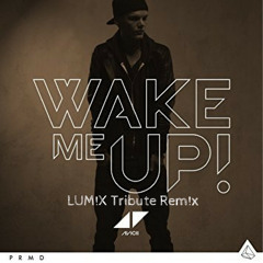 Avicii - Wake Me Up (LUM!X Tribute Remix)*** FREE DOWNLOAD***