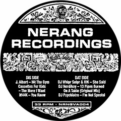 DJ Psychiatre - I'm Not Special [Nerang Recordings]