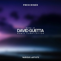 Ward Junior - Don't Let Me Go [David Guetta]