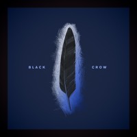 Louis Baker - Black Crow