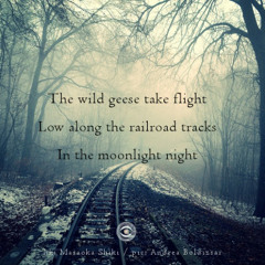 Geesebumps [naviarhaiku225 - The wild geese take flight]